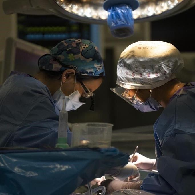 Doctors say surgical training, delayed by the pandemic, continues to be affected